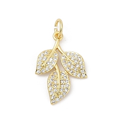 Настоящее золото 18K Латунные микро проложить кубического циркония подвески, лист прелести, долговечный, без свинца и без кадмия, стойки покрытие, с целью перехода в кольце, реальный 18 k позолоченный, 20.5x13.5x2.5 мм, отверстие : 3.5 мм