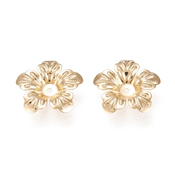 Золотой 304 из нержавеющей стали шарик крышки, 5-лепесток, цветок, золотые, 20x20x4 мм, отверстие : 1.5 мм