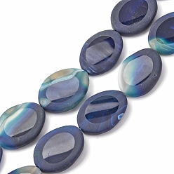 Натуральный Агат Натуральный голубой агат бисер нитей, окрашенная и подогревом, Плоско-овальные, 36.5~41x28~31.5x4.5~8.5 мм, отверстие : 2.5 мм, около 10 шт / нитка, 15.16''~15.75'' (38.5~40 см)