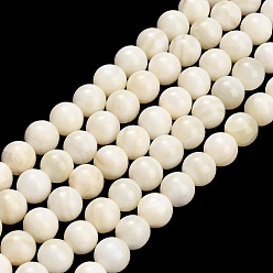 Seashell Color Natural Freshwater Shell Beads Strands, Smooth Round, Seashell Color, 7.5mm, Hole: 0.5mm, about 54pcs/strand, 15.24 inch(38.7cm)