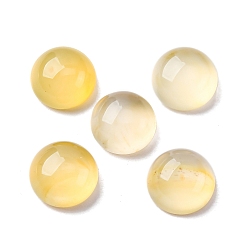 Желтый Агат Кабошоны из натурального желтого агата, окрашенная и подогревом, полукруглые / купольные, 8x4.5 мм
