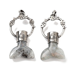 Лабрадорита Большие подвески из натурального лабрадорита с китовым хвостом, покрытие стойки антикварное посеребренное кольцо из сплава с подвесками в форме рыбы, без кадмия и без свинца, 56~57x29x12.5~13 мм, отверстие : 6.5x6 мм