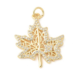 Настоящее золото 18K Латунные микро проложить кубического циркония подвески, без кадмия, без никеля и без свинца, кленовый лист подвески, с целью перехода в кольце, реальный 18 k позолоченный, 25x21x1.5 мм, отверстие : 3 мм