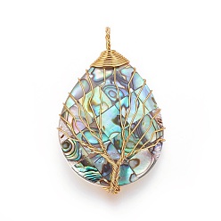 Golden Abalone Shell/Paua Shell Wire Wrapped Big Pendants, with Brass Findings, teardrop, with Tree, Golden, 48~51.5x30~31.5x8.5~10mm, Hole: 3.5~5.5mm