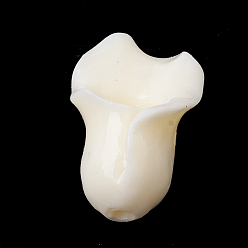 Beige Synthetische Korallen, gefärbt, Blume, beige, 15~16x10x8~10 mm, Bohrung: 1.5 mm