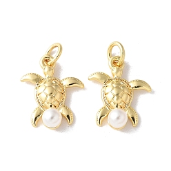 Turtle Латунные подвески, океанские темы, с искусственным жемчугом, долговечный, без кадмия и без свинца, стойки покрытие, реальный 18 k позолоченный, с целью перехода в кольце, черепаха, 16x13x4.5 мм, отверстие : 3.5 мм