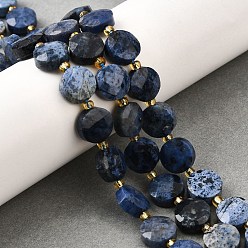 дюмортьерит Натуральные нити из бисера, граненые, плоско-круглые, с бисером, 10x5 мм, отверстие : 1 мм, около 32~33 шт / нитка, 14.96~15.55'' (38~39.5 см)