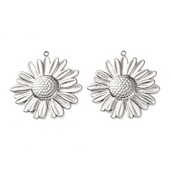 Нержавеющая Сталь Цвет 304 подвески из нержавеющей стали, очарование заката, цвет нержавеющей стали, 31x30x3 мм, отверстие : 1.4 мм