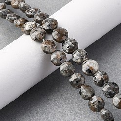 Syenite Натуральный флуоресцентный сиенитовый камень (светящийся в ультрафиолетовом свете) бусины нити, граненый квадратный разрез, плоско-круглые, 8~8.5x4.5~6.8 мм, отверстие : 0.8~1.2 мм, около 48~49 шт / нитка, 15.08~15.35 дюйм (38.3~39 см)