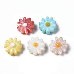 Mixed Color Natural Freshwater Shell Beads, with Enamel, Flower, Mixed Color, 8x4mm, Hole: 0.8mm