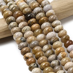 Ископаемый коралл Природные окаменелые коралловые бусы пряди, рондель, 10.5x6.5 мм, отверстие : 0.8 мм, около 59 шт / нитка, 14.69'' (37.3 см)