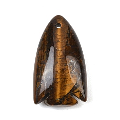 Tiger Eye Natural Tiger Eye Pendants, Fish Charms, 39.5x22~23x12~12.5mm, Hole: 2mm