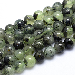 Пренит Природные пренит нитей бисера, круглые, 10 мм, отверстие : 1 мм, около 42 шт / нитка, 15.5 дюйм (39.5 см)