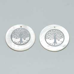 Platino Pendientes de concha de agua dulce, cubierto con hallazgos de hierro, plano y redondo con el árbol de la vida, Platino, 30~31x2~3 mm, agujero: 1.8 mm