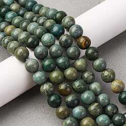 Другие Нефриты Нити бусин из натурального нефрита шушан, круглые, 9.5~10 мм, отверстие : 0.7 мм, около 42 шт / нитка, 15.35 дюйм (39 см)