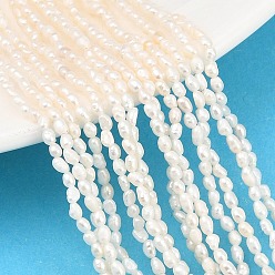 Бежевый Нити из натурального культивированного пресноводного жемчуга, рис, класс 3, бежевые, 1.8~2 мм, отверстие : 0.3 мм, около 147~157 шт / нитка, 14.84'' (37.7 см) ~ 15.08'' (38.3 см)