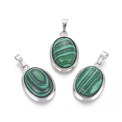 Малахит Синтетического малахита подвески, с латунной фурнитурой , овальные, платина, 25~26x17~17.5x8~9 мм, отверстие : 8x5 мм