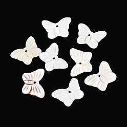 Морская Ракушка Природные подвески оболочки пресноводных, бабочки прелести, цвет морской раковины, 12.5~13x18x2 мм, отверстие : 1.2 мм