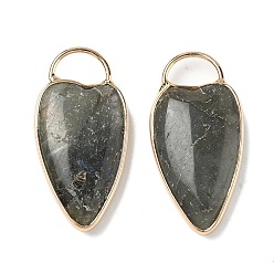 Лабрадорита Природные подвески лабрадорита, подвески в форме сердца с латунной оправой, золотые, 35x17x6 мм, отверстие : 6x9 мм