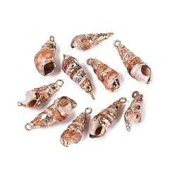 Chocolate Electroplated Golden Brass Trim Natural Spiral Shell Pendants, Conch Charms, Chocolate, 20~27x7~10x7~9mm, Hole: 1.6~1.8mm