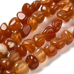 Chocolate Natural Agate Beads Strands, Dyed & Heated, Nuggets, Tumbled Stone, Chocolate, 6.5~13x10~13x1.5~11mm, Hole: 1.6mm, about 22pcs/strand, 7.20~7.72''(18.3~19.6cm)