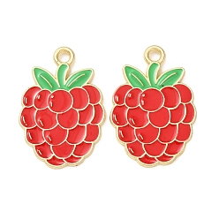 Other Fruits Подвески из эмали и сплава, фрукты чары, золотые, малиновые подвески, 28x19x2 мм, отверстие : 2.5 мм