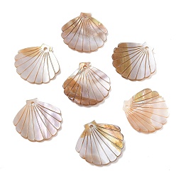 Melocotón de Soplo Colgantes de concha natural de agua dulce, encanto de forma de concha, peachpuff, 38x39x2.2~3 mm, agujero: 2.5 mm