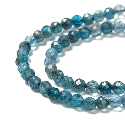 Apatite Natural Apatite Beads Strands, Faceted, Round, 2mm, Hole: 0.5mm, about 175pcs/strand, 14.9 inch(38cm)