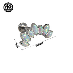 Нержавеющая Сталь Цвет G23 титан с синтетическим опалом безрезьбовые лабреты, луна, цвет нержавеющей стали, 8 мм, штифты : 1.2 мм