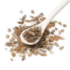 Black Moonstone Бусины из натурального черного лунного камня, нет отверстий / незавершенного, 3~6x2~4x0.5~3 мм, Около 20000 шт / 1000 г