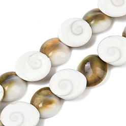 Морская Ракушка Натуральные бусины из ракушек «глаз Шивы», полукруглая форма раковины, кокосового коричневый, 13.5~15.5x12.5~13.5x5~5.5 мм, отверстие : 0.5 мм, около 36 шт / нитка, 16.02'' (40.7 см)