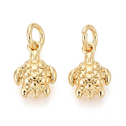 Настоящее золото 18K Латунные подвески, прелести черепахи, с целью перехода в кольце, реальный 18 k позолоченный, 11x8x3 мм, отверстие : 3 мм