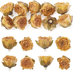 Золотистый 10шт. подвесок из стабилизированных роз, очарование цветка розы, золотые, 25~28x22~25x20~23 мм, отверстие : 1.5 мм