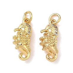 Sea Horse Латунные микро проложить кубического циркония подвески, без свинца и без кадмия, стойки покрытие, долговечный, реальный 18 k позолоченный, морской конек, 14x6x4 мм, Перейти кольцо: 4x0.8 мм, внутренний диаметр: 2.5 мм