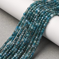 Апатит Природного апатита нитей бисера, граненые, бусины-кубы с настольной огранкой, 2.5~3x2.5~3x2.5~3 мм, отверстие : 0.7 мм, около 169 шт / нитка, 15.35 дюйм (39 см)