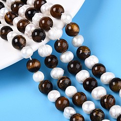 Тигровый глаз Натуральный тигровый глаз круглый и натуральный культивированный пресноводный жемчуг рифленые картофельные бусины нити, 8~9 мм, отверстие : 1.2 мм, Жемчужина: 6~8x6~10 мм, отверстие : 0.7 мм, около 27 шт / нитка, 7.87~8.07 дюйм (20~20.5 см)