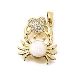 Настоящее золото 18K Латунные подвески с фианитами, с emanel, крабовые прелести, долговечный, реальный 18 k позолоченный, 22.5x20x4 мм, отверстие : 5x3 мм