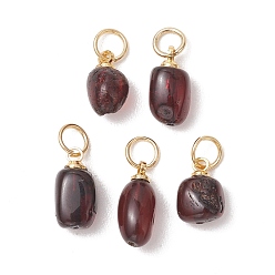 Золотой Подвески из натурального янтаря, прямоугольник амулеты, темно-красный, золотые, 10x5x5 мм, Перейти кольцо: 5x0.7 мм, внутренний диаметр: 3.5 мм