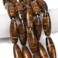 Тигровое Железо Нити железных бусин Natura Tiger, рис, 40.5~41.5x14~14.5 мм, отверстие : 1.2 мм, около 9 шт / нитка, 15.20''~15.55'' (38.6~39.5 см)