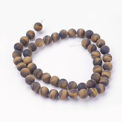Tiger Eye Natural Yellow Tiger Eye Bead Strands, Round, Grade AB+, Frosted, 8~8.5mm, Hole: 1mm, about 45~47pcs/strand, 14.9 inch(38cm)