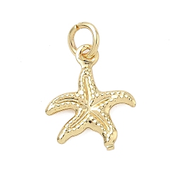 Морская звезда Латунь прелести, стойки покрытие, долговечный, без свинца и без кадмия, реальный 18 k позолоченный, с целью перехода в кольце, морская звезда, 13.5x11.5x1.5 мм, отверстие : 3.2 мм
