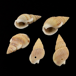 Сэнди Коричневый Спиральные подвески оболочки, песчаный коричневый, 24~30x12~15x10~13 мм, отверстие: 1.5 мм, о 495ppcs / 500g