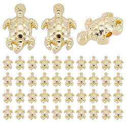 Light Gold Pandahall elite 80pcs perles en alliage de placage de rack, sans cadmium et sans plomb, tortue, or et de lumière, 13x9x4mm, Trou: 1.6mm