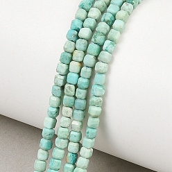 Peruvian Turquoise(Jasper) Бусы натуральная перуанская бирюза (яшма), граненый стол, вырезанный куб, 2.5x2.5x2.5 мм, отверстие : 0.6 мм, около 163 шт / нитка, 15.35'' (39 см)