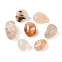 Вишневый агат Натуральный вишневый агат бисер, самородки, нет отверстий / незавершенного, упавший камень, 16~24x14~18x6~12 мм