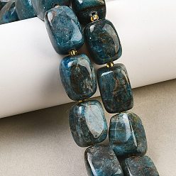 Апатит Естественно апатит шарик нити, прямоугольные, 15~18x10~13x10~13 мм, отверстие : 1~1.2 мм, около 20~21 шт / нитка, 14.02~14.57'' (35.6~37 см)