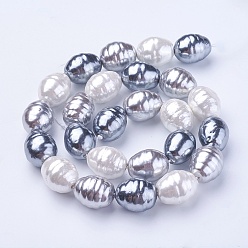 SlateGray Cuentas de concha perla hebras, ovalada con rosca, colorido, 16.5~17.5x13~13.5 mm, agujero: 1 mm, sobre 24 unidades / cadena, 15.74 pulgada ~ 15.94 pulgada (40~40.5 cm)