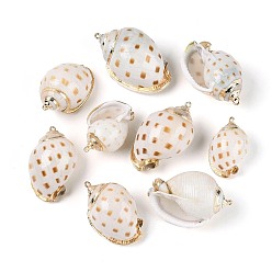 Перу Подвески из натуральной спиральной раковины с гальваническим покрытием, Подвески в виде раковин с петлями из железа золотистого оттенка., Перу, 34~51x23~33x19~28 мм, отверстие : 1.7~2.3 мм