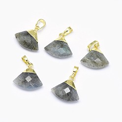 Labradorite Natural Labradorite Pendants, with Long-Lasting Plated Brass Findings, Faceted, Triangle, Golden, 14~15x15~16x5mm, Hole: 3.5x5.5mm