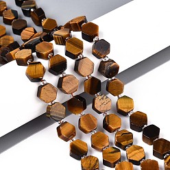 Тигровый глаз Природных тигровый глаз бисер нитей, шестиугольник, с бисером, 8~10x8~10x4~5 мм, отверстие : 0.9~1 мм, около 18~19 шт / нитка, 7.68~8.07'' (19.5~20.5 см)